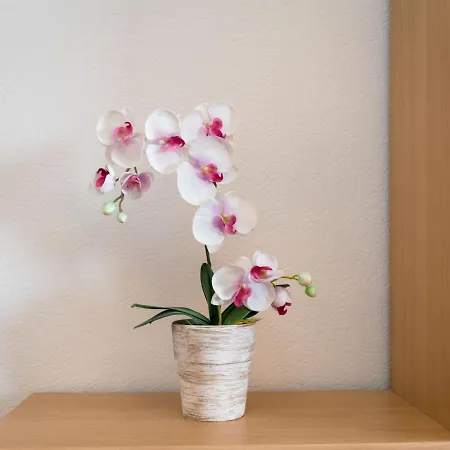 Sonnenblick - B905 By Interhome * Lahnstein