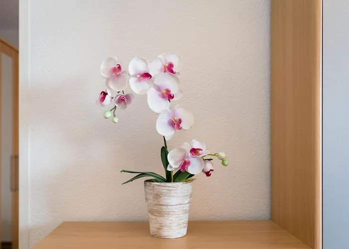 Sonnenblick - B905 By Interhome * Lahnstein